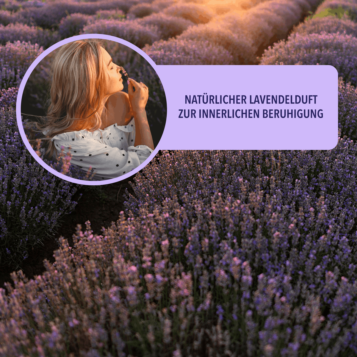 Körnerkissen mit Lavendel