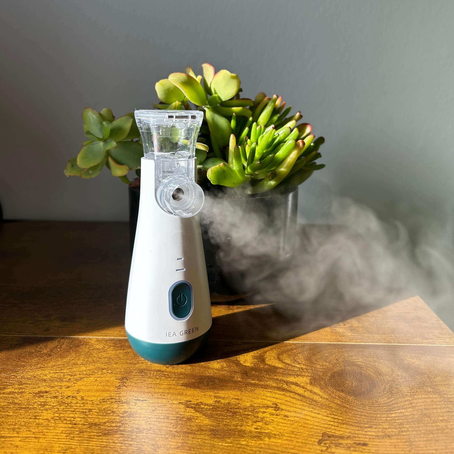 IEA Green Inhaliergerät feine Zerstäubung