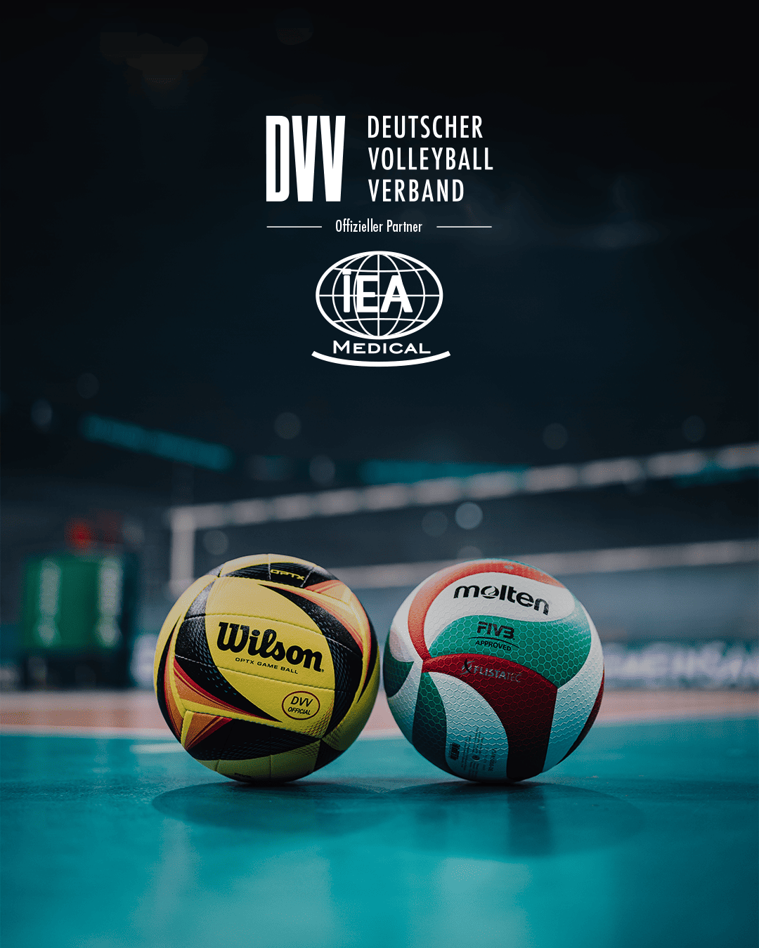DVV-IEA-3 (1)