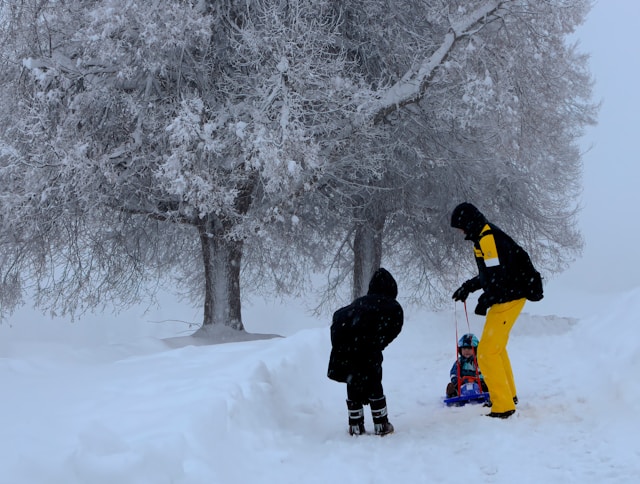 Winterspecials, 2